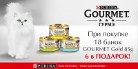 Gourmet 18+6